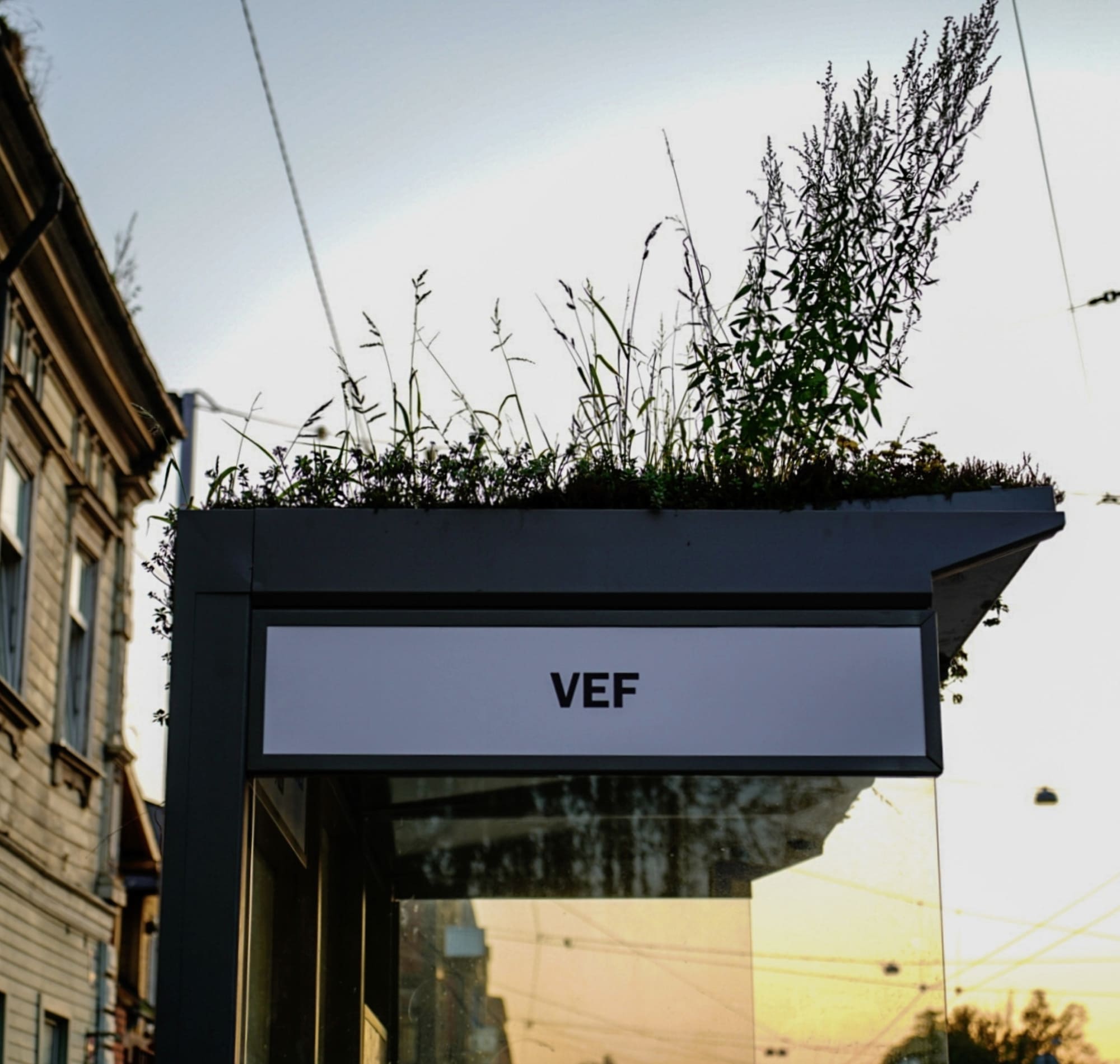 Modern bus shelter with 'VEF' stop title on a city street