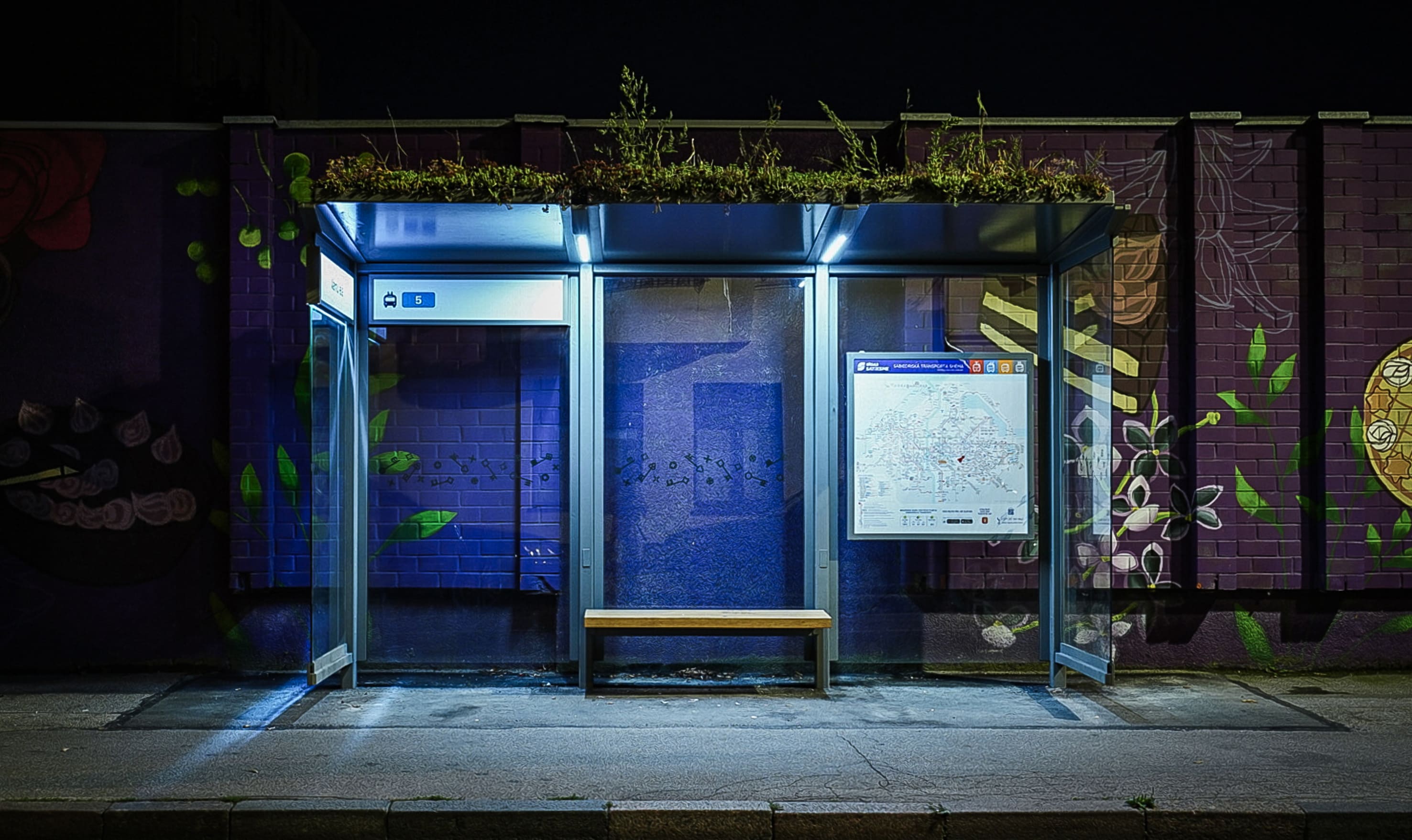 Bus stop shelter with illuminated sign at night, surrounded by colorful murals.